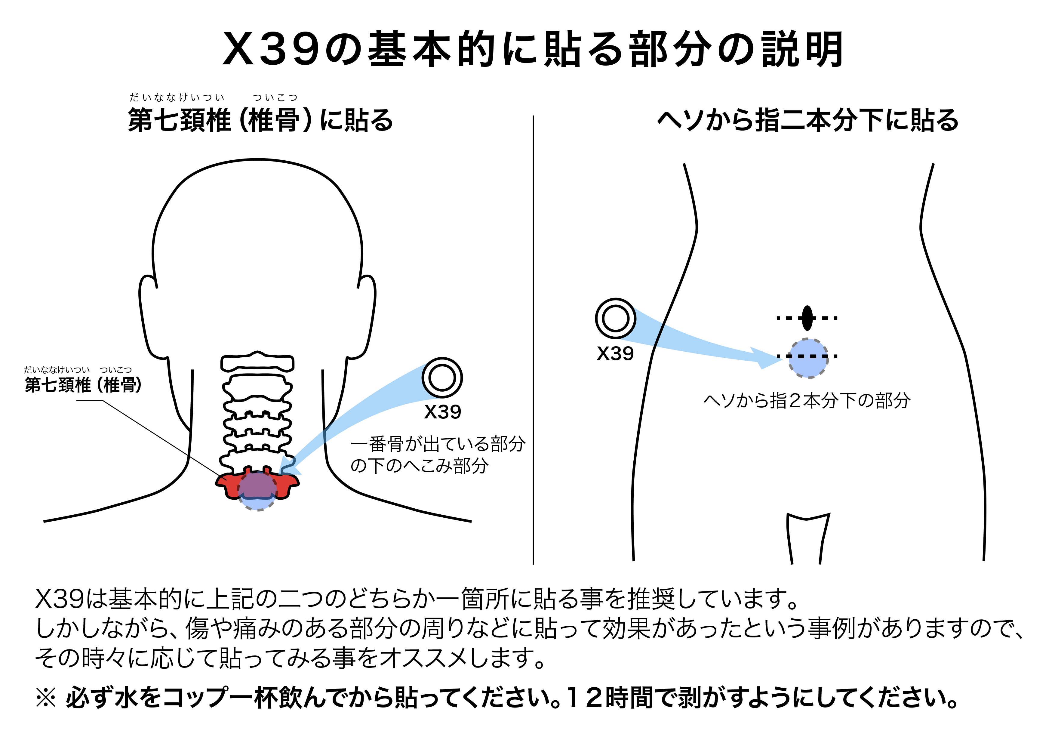 代引き人気 ライフウェーブ sushitai.com.mx